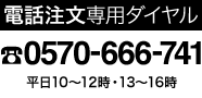 ʸ0570-666-741