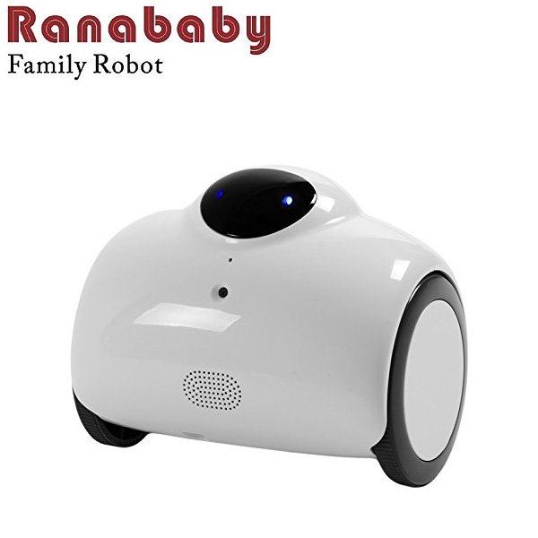 KEIAN 恵安 自走式ネットワークカメラロボット スピーカー&マイク内蔵 RB01-W (sb)【送料無料】