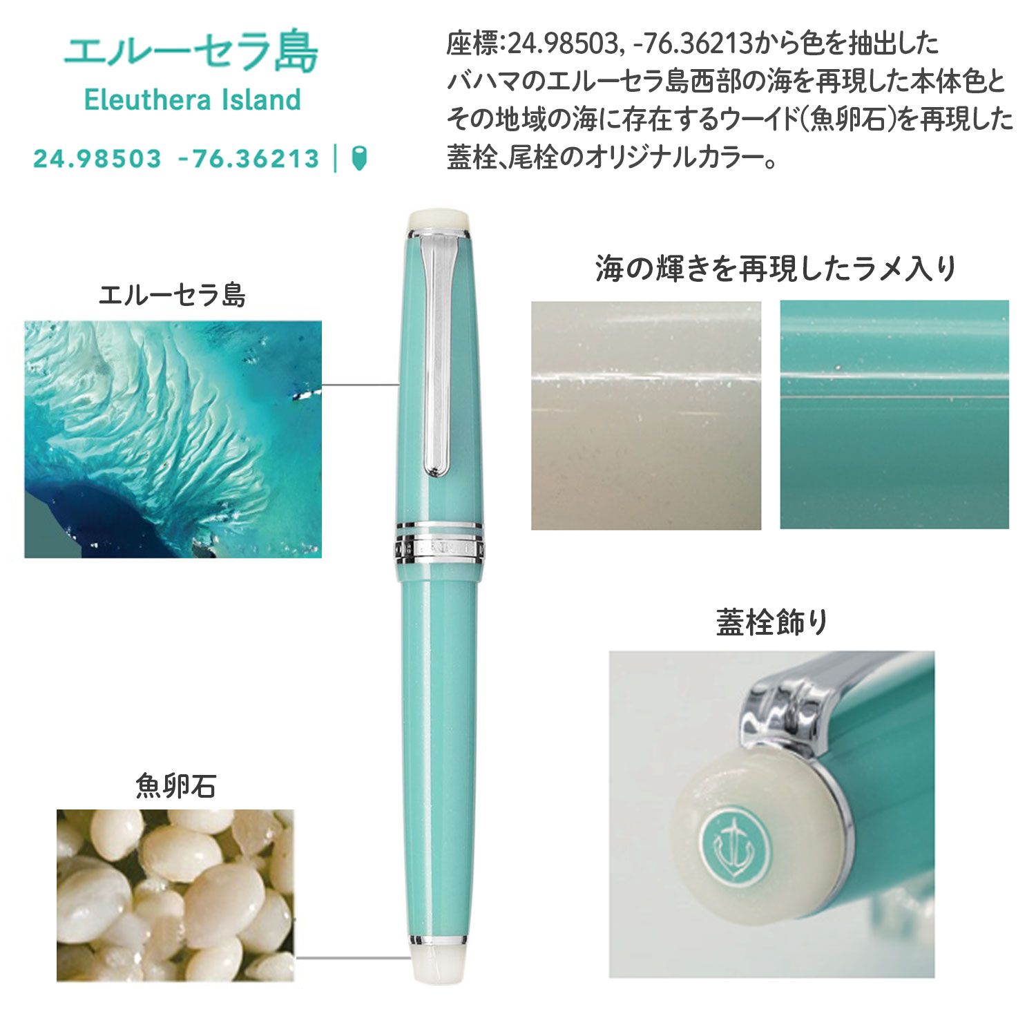 ڸۥ顼ǯɮ ǯɮ 롼   10-1291-341̵ۡ롼