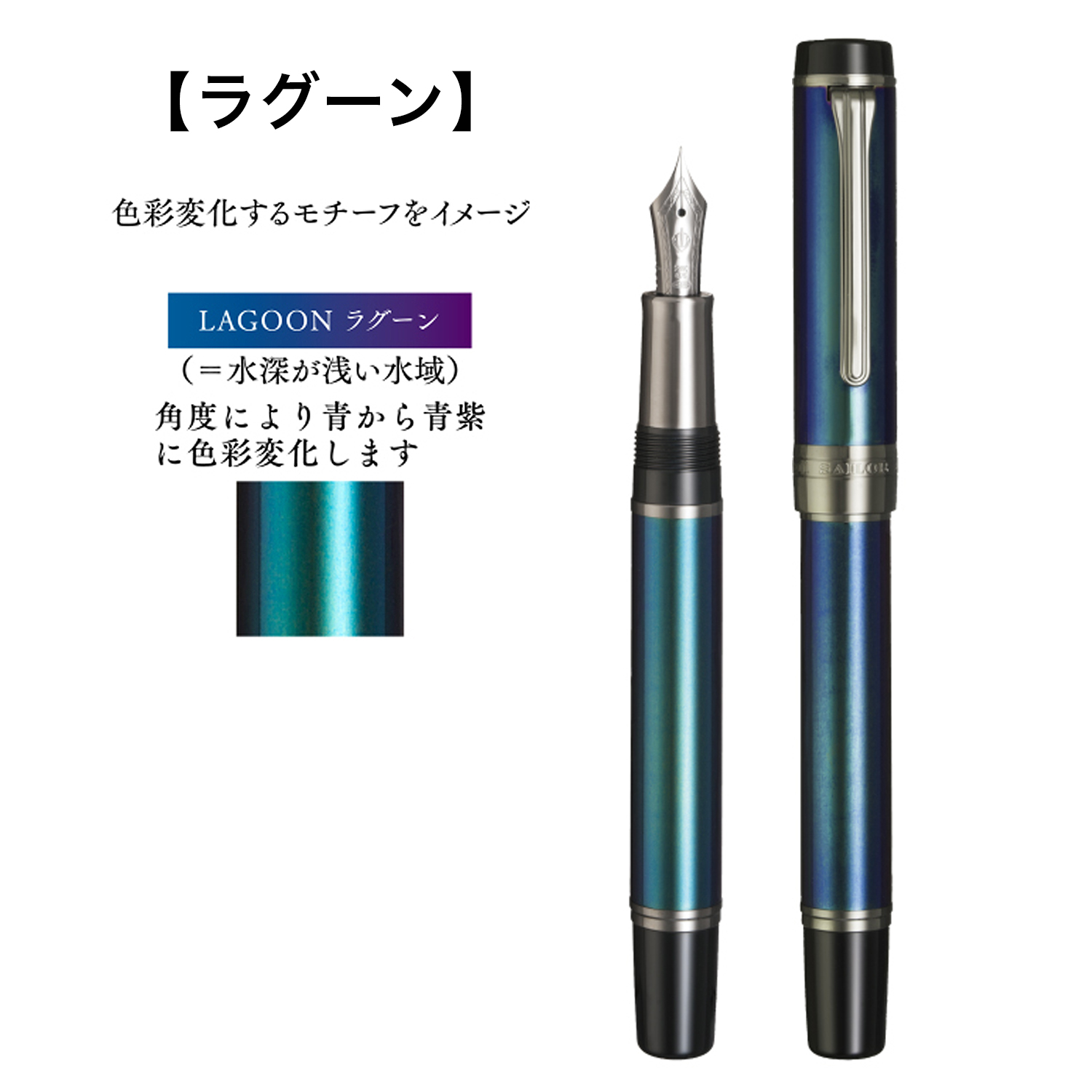 ڼʡۥ顼ǯɮ CYLINT  ǯɮ 顼ɥƥ쥹 10-6006̵ۡڥ᡼Բġۡ3