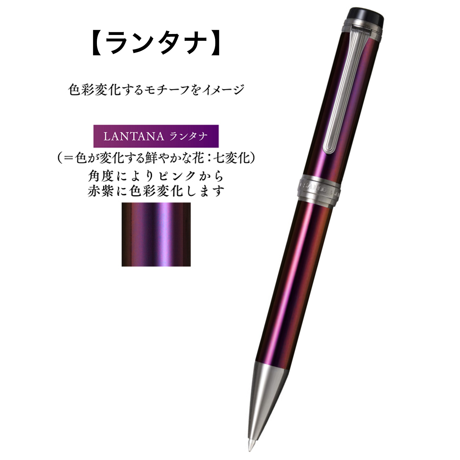 ڼʡۥ顼ǯɮ CYLINT  ܡڥ 顼ɥƥ쥹  15-3505 ̵ۡ3