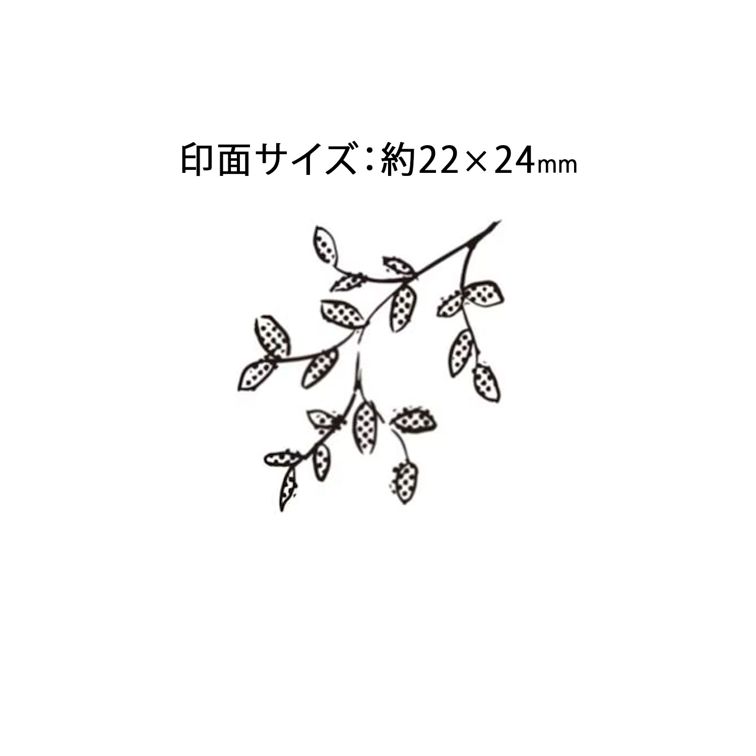 ���ɤ�Τ��� kodomonokao N������֥������  ���� 1533-101 �ڥ᡼���زġۡ�����