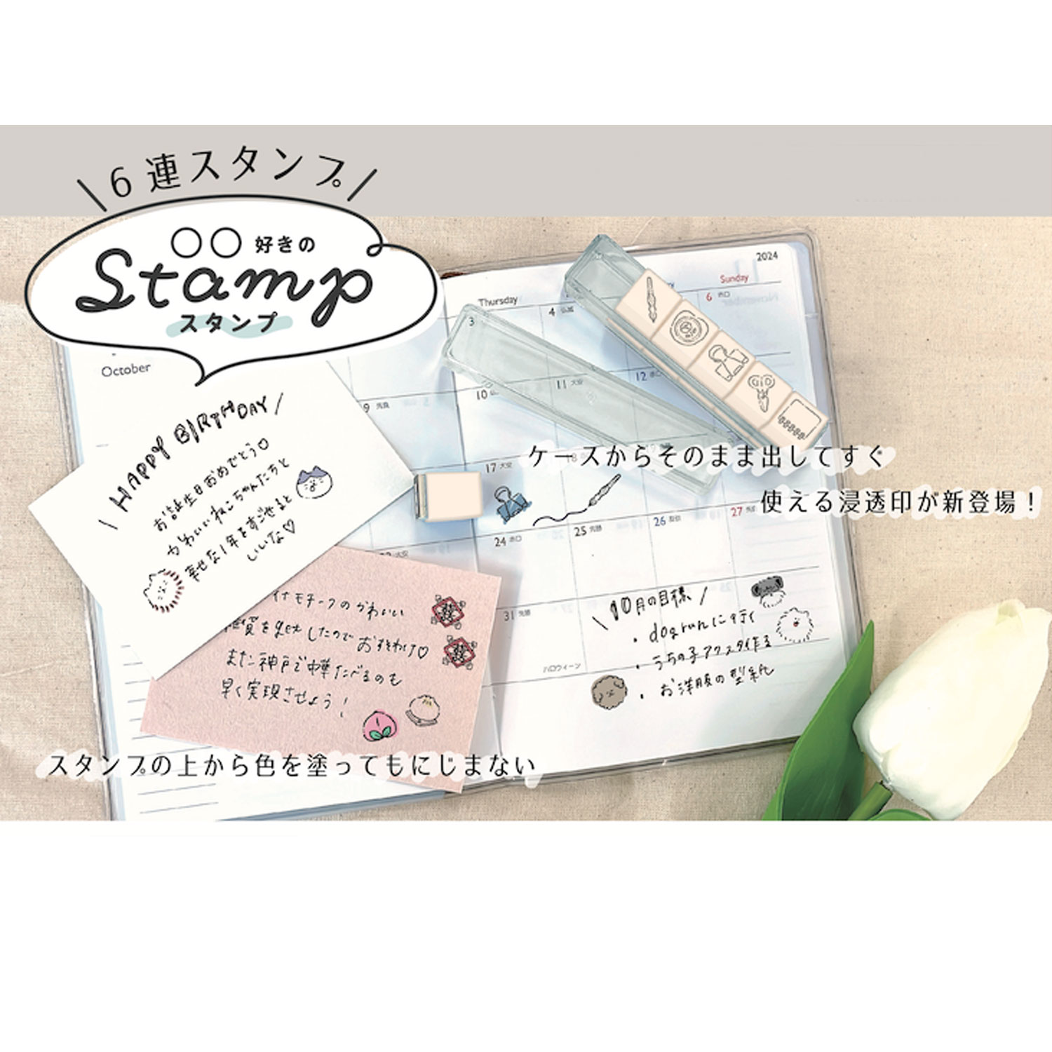 PLUS MART �ץ饹�ޡ��� 6Ϣ������� ι�Թ��� 230889 �ڥ᡼���زġۡ�ι�Թ���