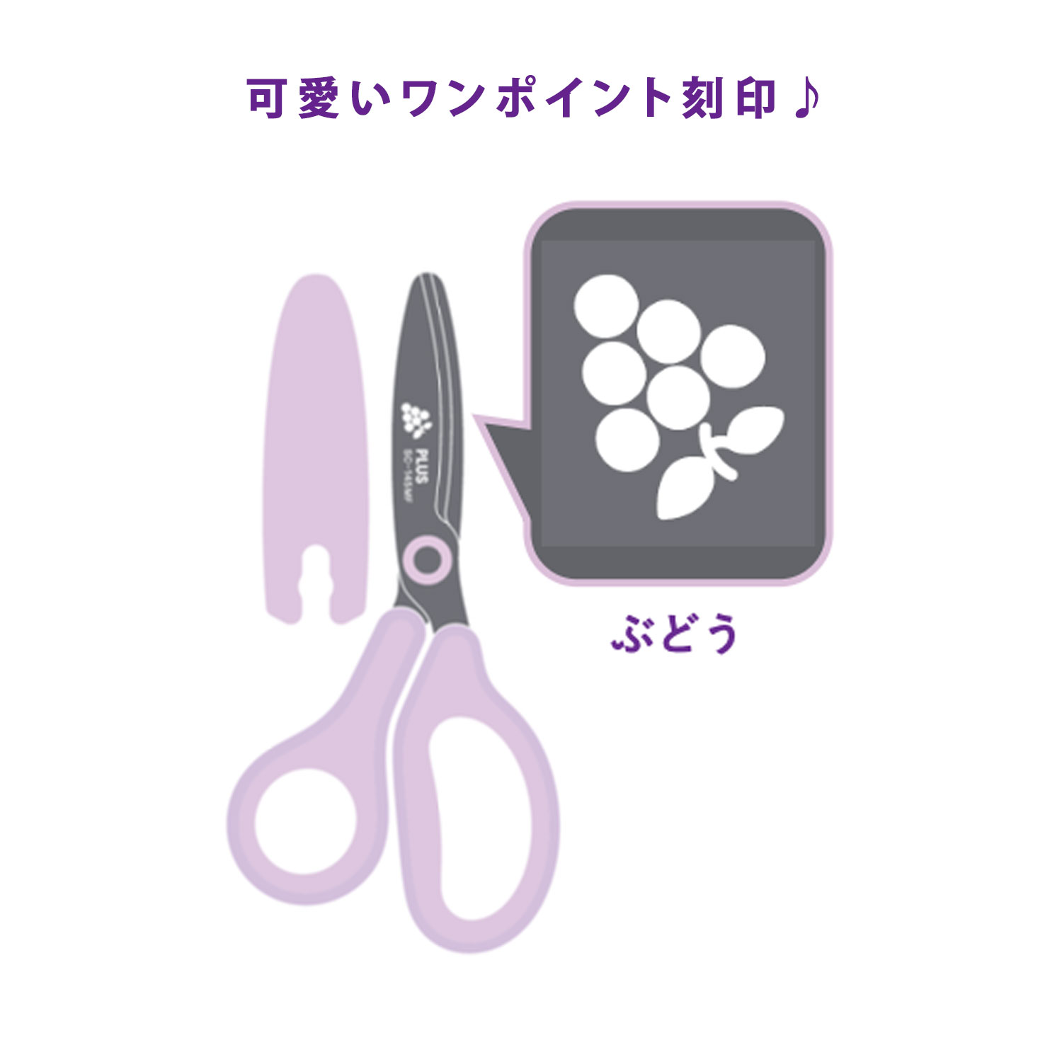 �ڸ���ۥץ饹 PLUS ���ɤ��ѤϤ��� �ե��åȥ��åȥ����� ����˥� ������ ������Υ������ �֤ɤ� SC-145MF �ڥ᡼���زġۡ��֤ɤ�