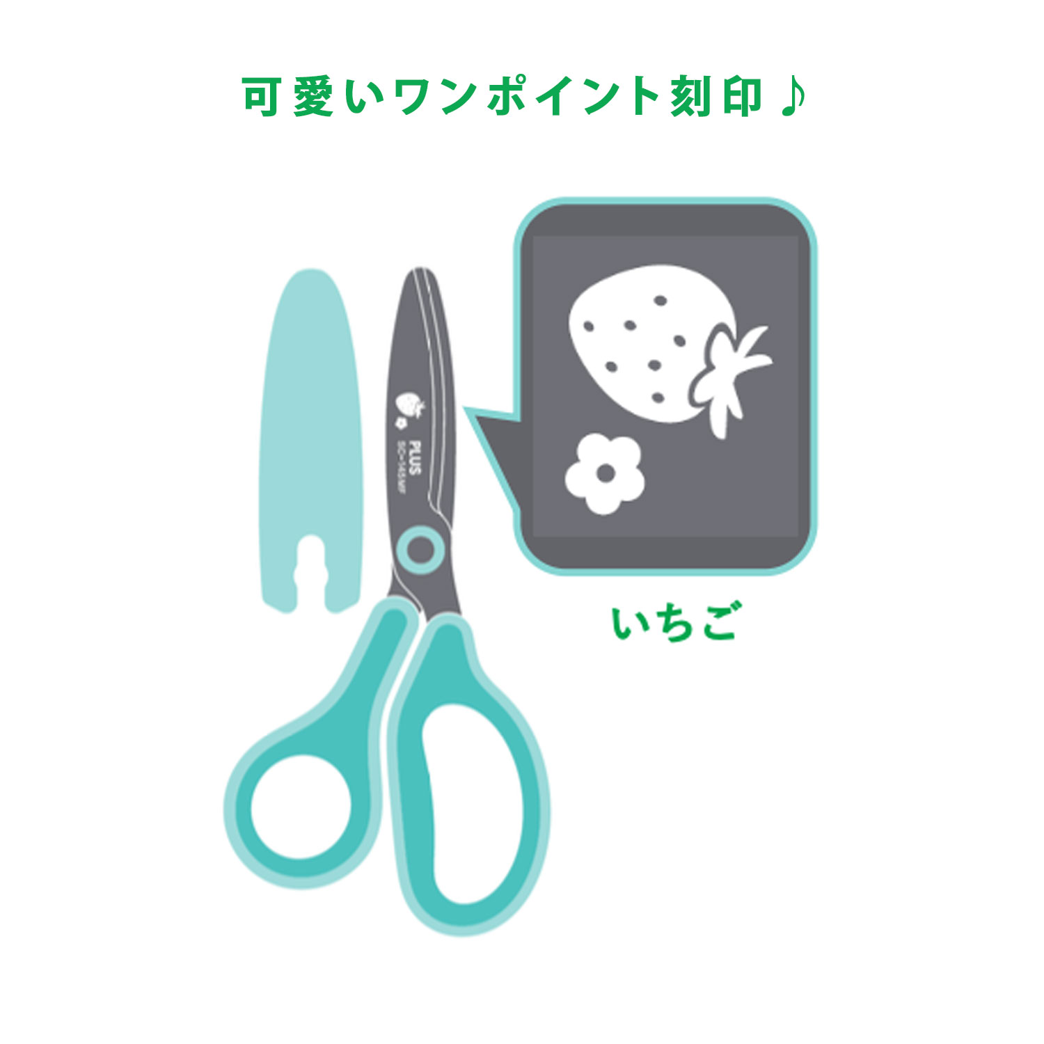 �ڸ���ۥץ饹 PLUS ���ɤ��ѤϤ��� �ե��åȥ��åȥ����� ����˥� ������ ������Υ������ ������ SC-145MF �ڥ᡼���زġۡ�������