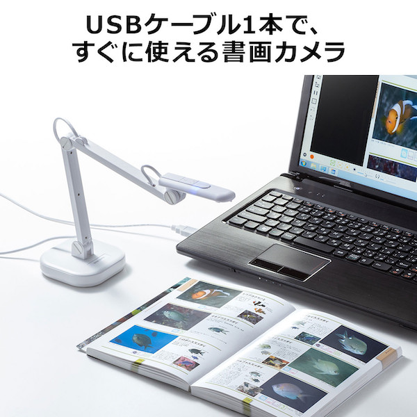 サンワサプライ USB書画カメラ 800万画素 CMS-V46W (sb)【送料無料】　ホワイト