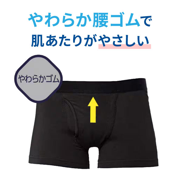 GUNZE  NEXTYLE ͥ Ǣб 1  ڥ᡼̵۹ ɽ ɻ ڼ 餫 ѥåɡ졼 M/L/LL 3