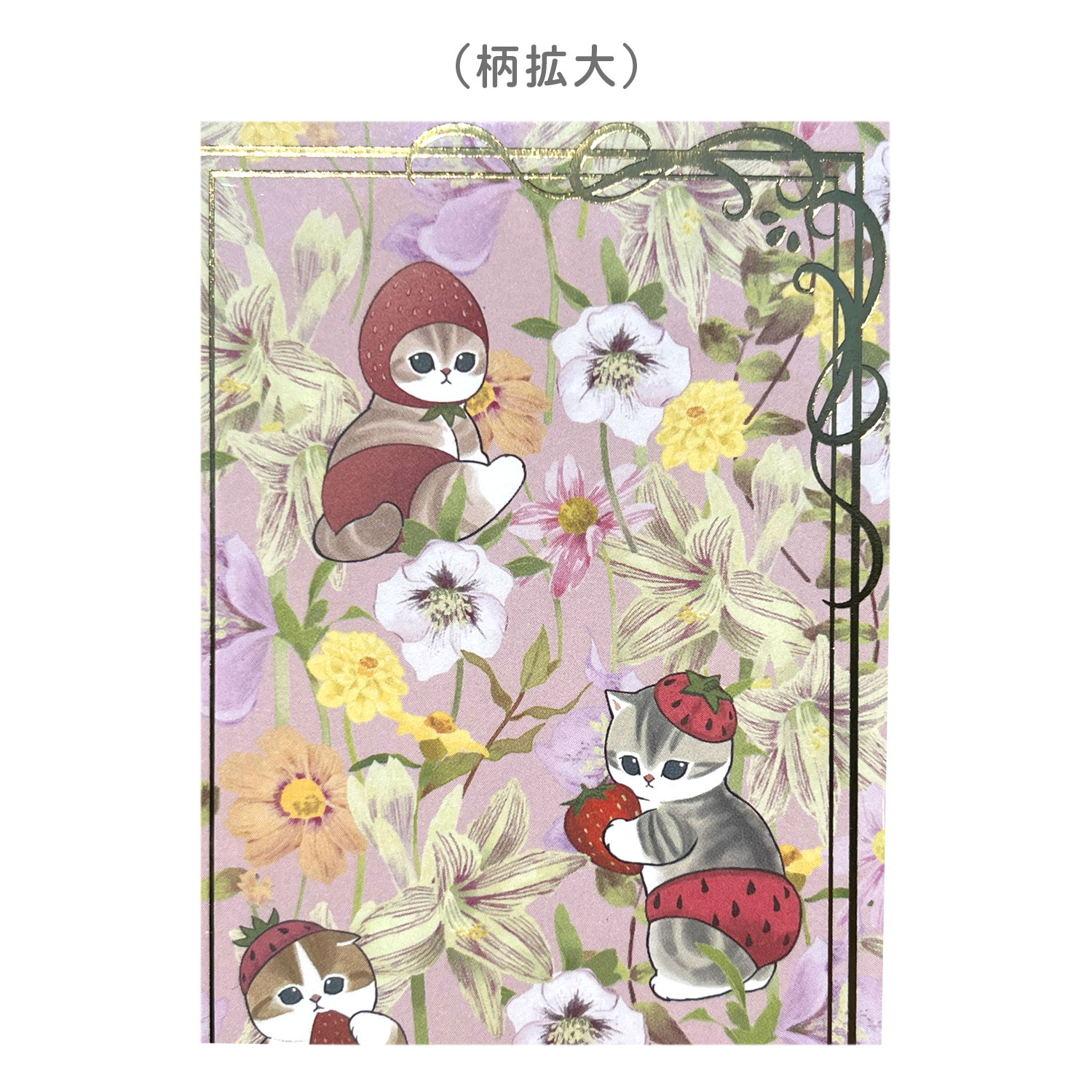 �ڸ���ۥޥ�⥯��ե� ��ե���� mofusand������ë���ť���� �ݤ��� 5�祻�å� �ڥ᡼���زġۡ��ԥ�