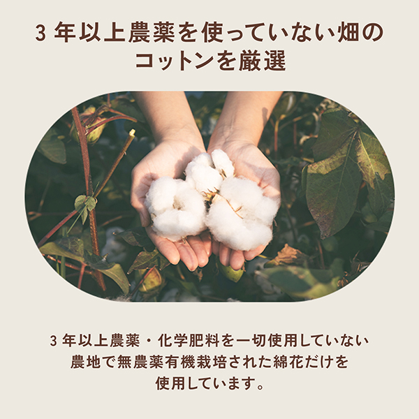 ���åȥ��� �������˥å����åȥ� ���󥰥饤�ʡ� ���������ѥ����� ��17cm 3�ĥ��å� ������̵���ۡ�32���� 3�ĥ��å�(��96��)