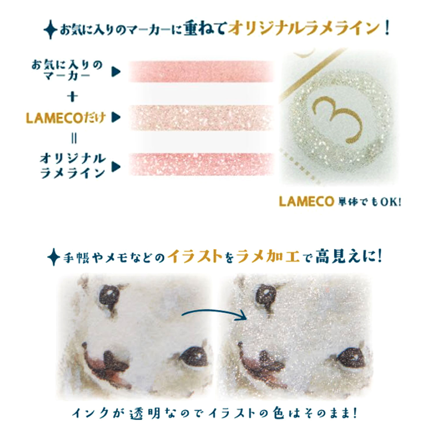 ���󥹥���ʸ�� sun-star �������ޡ����� LAMECO ��ᥳ 3�ܥ��å� S4544820 �ڥ᡼���زġۡ�3�ܥ��å�